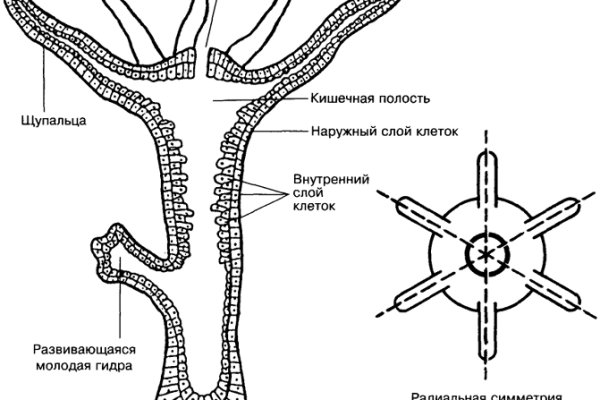 Зайти на сайт кракен