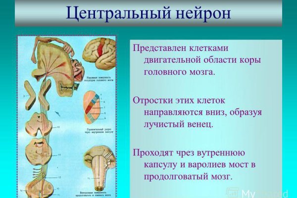 Кракен маркетплейс что там продают