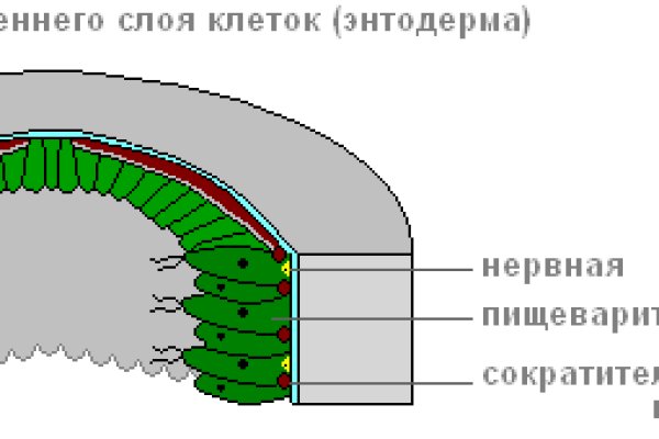 Адрес кракена