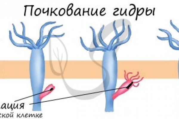 Кракен наркоторговля